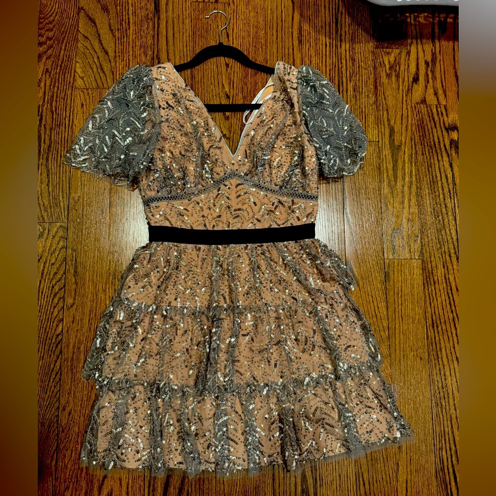 Self portrait lace and beaded dress